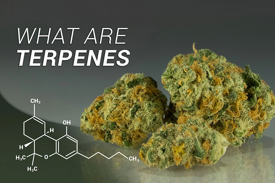 marijuana bud with molecular diagram overlapping image