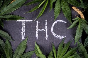 THC written on chalk board with marijuana leaves surrounding it