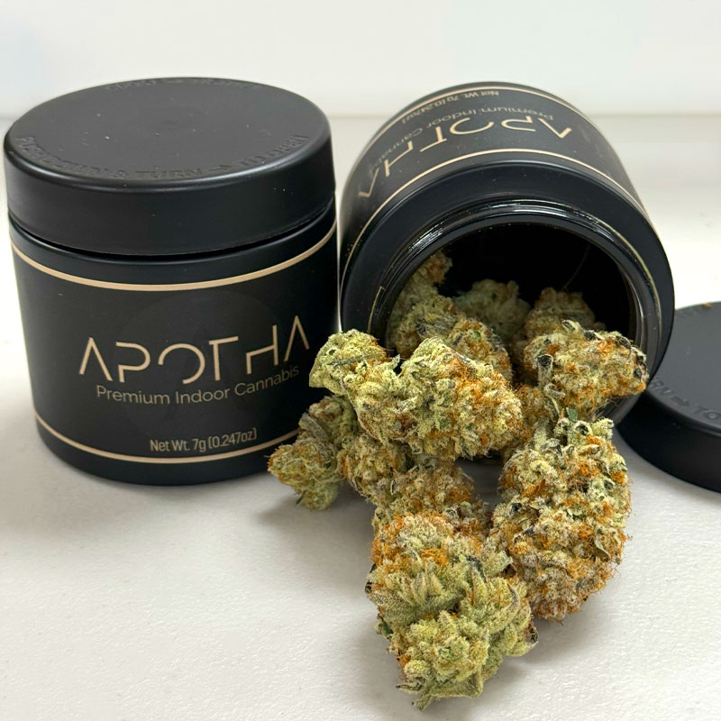 image of cobra chi marijuana buds in a jar from apotha growers in mississippi