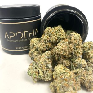 image of Permanent Marker marijuana buds in a jar from apotha growers in mississippi
