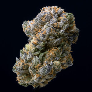 image of Orange Runtz flower against black background