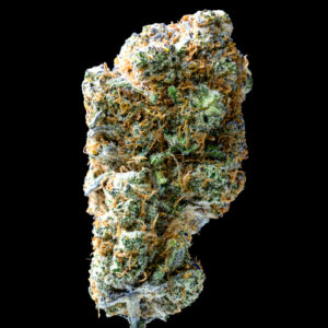 image of Blue Scream flower against black background