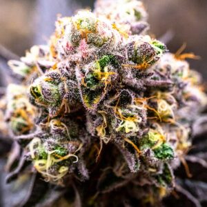 marijuana flower bud