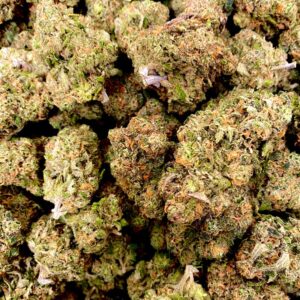 image of Blue Dream marijuana buds from apotha growers in mississippi