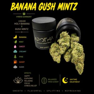image of Banana Gush Mintz marijuana buds from apotha growers in mississippi