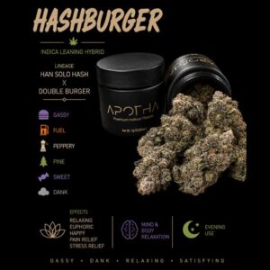 image of Hashburger marijuana buds from apotha growers in mississippi