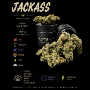 image of Jackass marijuana buds from apotha growers in mississippi
