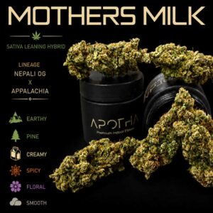 Mothers Milk marijuana buds on black background with stats on flower itself